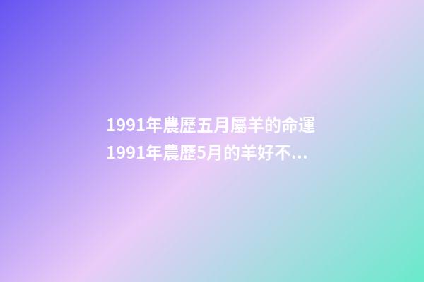 1991年農歷五月屬羊的命運 1991年農歷5月的羊好不好，1991年屬羊農歷五月生好不好-第1張-觀點-玄機派
